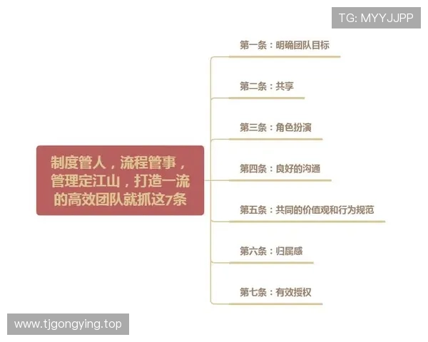 企业家管理模式创新与实践:如何打造高效团队与可持续发展战略